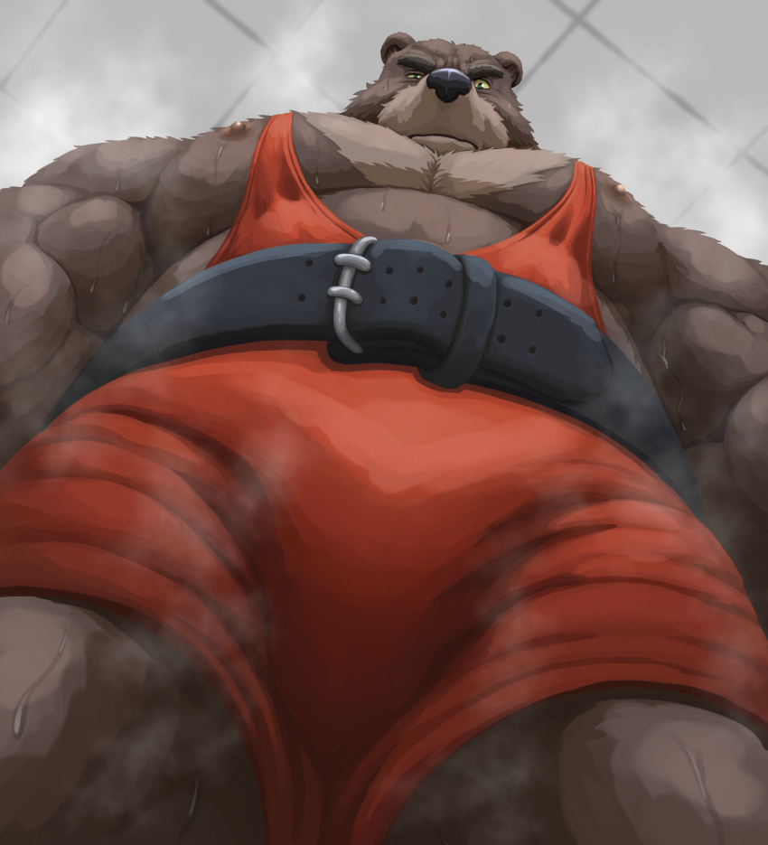 1boy animal_ears bara bare_pectorals bear_boy bear_ears brown_fur bulge colored_sclera cowboy_shot crotch dendoro foreshortening from_below furry furry_male highres large_belt large_pectorals looking_at_viewer looking_down male_focus meme muscular muscular_male nipple_slip nipples original pectorals short_hair singlet solo steaming_body sweat tank_top thick_eyebrows uneven_eyes very_sweaty yellow_sclera yur_oc_like_this_(meme)