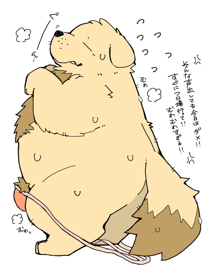 2024 anthro brown_body bulge canid canine canis clothing domestic_dog eyes_closed gayousi7 hi_res japanese_text kemono male mammal overweight overweight_male pubes simple_background solo text underwear white_background