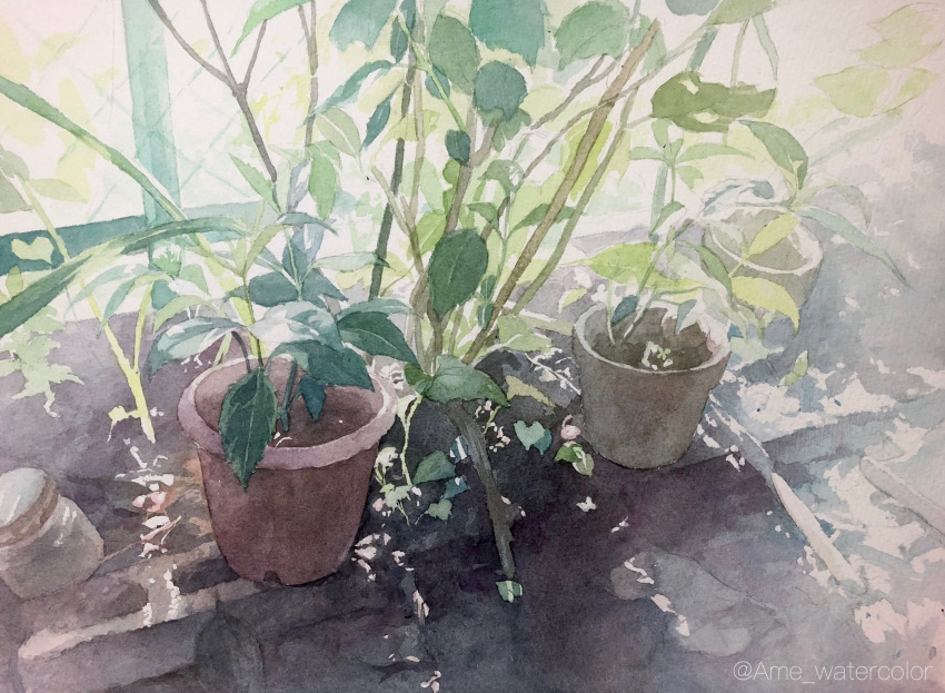 brick day highres jar leaf no_humans original painting_(medium) plant plant_focus potted_plant realistic still_life sunlight toyonaga_ryouhei traditional_media watercolor_(medium) window