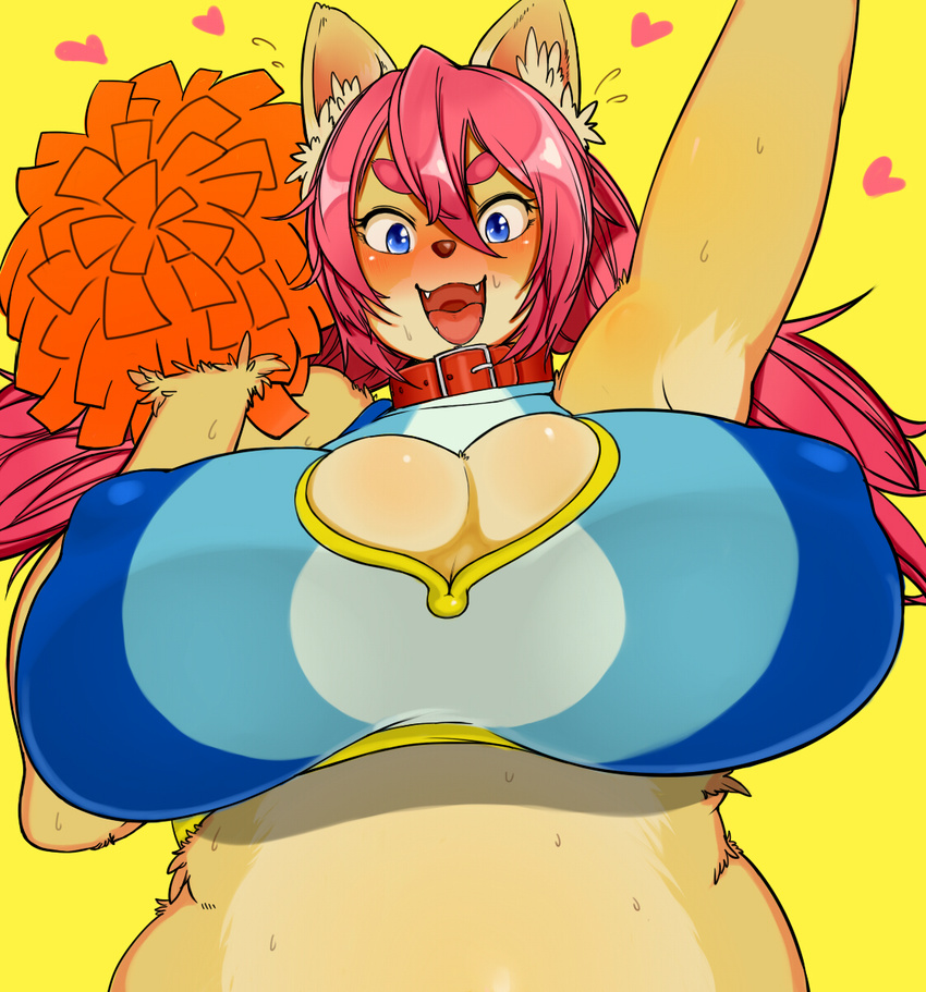 &lt;3 anthro armpits big_breasts blue_eyes breasts cheerleader cleavage clothed clothing collar feline female hair hi_res huge_breasts inner_ear_fluff kemono looking_at_viewer mammal nipple_bulge open_mouth pink_hair pom_poms simple_background solo sweat tight_clothing toco_(artist) yellow_background