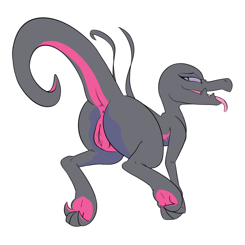 anus butt feet female hi_res lizard looking_back nintendo pok&eacute;mon presenting presenting_hindquarters pussy rear_view reptile salazzle scalie seductive semi-anthro simple_background solo tongue tongue_out unknown_artist video_games white_background