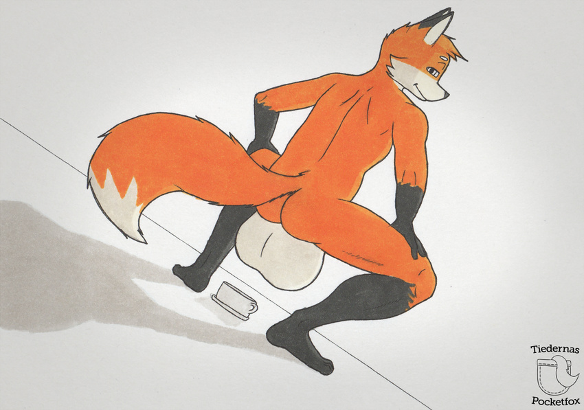 anthro backsack balls big_balls butt canine crouching fox huge_balls hyper hyper_balls looking_at_viewer looking_back male mammal multicolor_tail nude raised_tail simple_background smile solo spread_legs spreading tea_bagging tiedernas