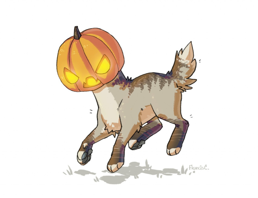 ambiguous_gender canine feral food franciscassidy fruit fur jack_o'_lantern mammal paws pumpkin simple_background solo white_background