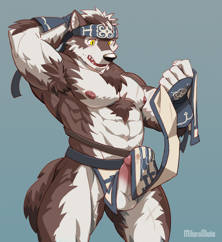 2017 5_fingers abs anthro armpit_hair armpits balls belt biceps big_muscles black_nose blue_background blush body_hair brown_fur canine cheek_tuft chest_hair chest_tuft clothing countershade_face countershade_torso erection erection_under_clothes fluffy fluffy_tail fur glans hair hand_behind_head hi_res horkeukamui humanoid_hands humanoid_penis ineffective_clothing inner_ear_fluff kakushimi loincloth looking_down male mammal manly multicolored_fur multicolored_hair muscular muscular_male nipples nude open_mouth pecs penis pink_nipples pointy_ears simple_background solo standing sweat tokyo_afterschool_summoners tuft two_tone_fur two_tone_hair watermark white_balls white_countershading white_fur wolf yellow_eyes
