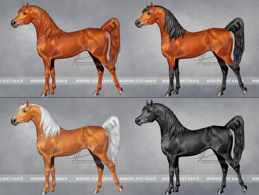 ambiguous_gender aomori equine feral group hair hooves horse mammal signature simple_background standing watermark