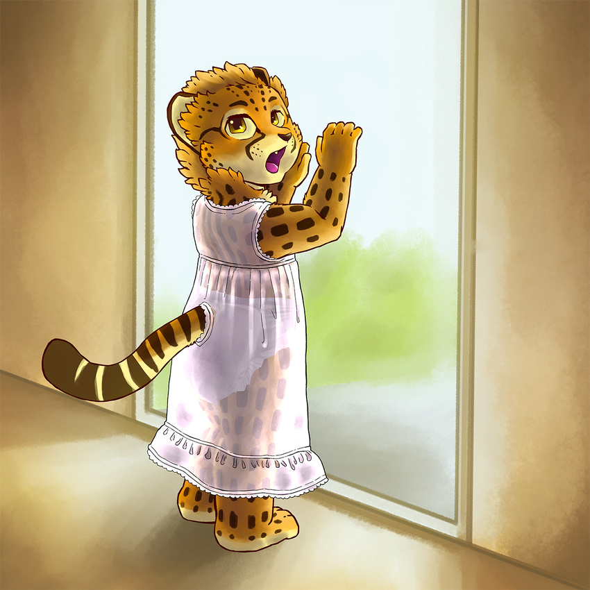 anthro astolpho cheetah cub diaper feet feline fur invalid_tag looking_at_viewer mammal nightgown open_mouth solo spots standing tongue window yellow_eyes yellow_fur young