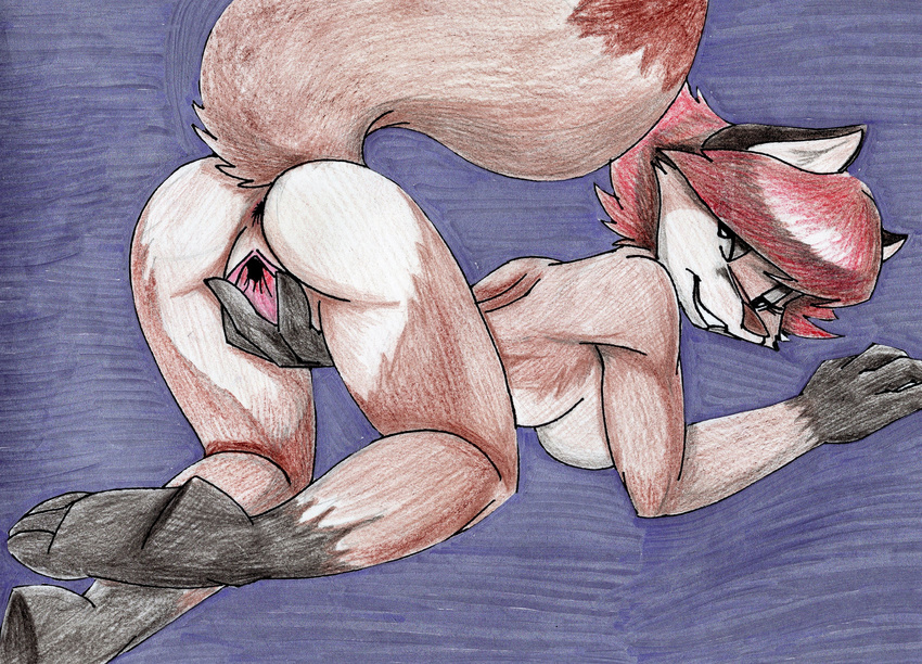 all_fours anthro anus breasts butt canine female fox fureverick helen_dish hi_res horny_(disambiguation) looking_back mammal mature_female nude pussy raised_tail sabrina_online simple_background solo spread_pussy spreading traditional_media_(artwork) webcomic