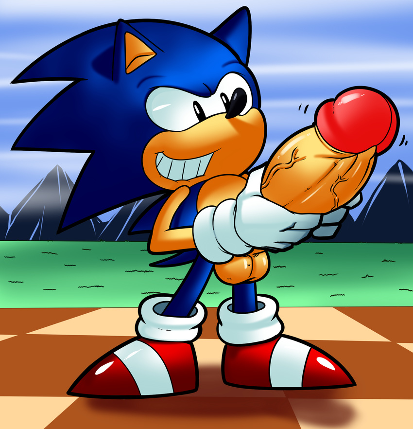 big_penis bullet43 dreamcastzx1 hedgehog huge_penis male mammal penis sonic_(series) sonic_the_hedgehog