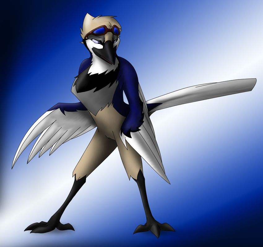 2011 anthro avian beak bird blue_eyes corrvo digital_media_(artwork) eyewear feathered_wings feathers gradient_background looking_back male multicolored_feathers purple_sclera simple_background solo standing tail_feathers winged_arms wings