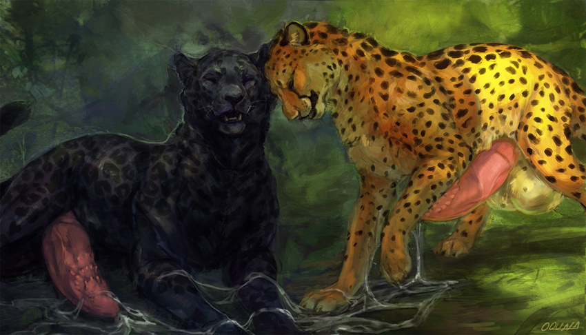 2016 anatomically_correct anatomically_correct_penis animal_genitalia animal_penis balls barbed_penis big_balls black_fur black_nose black_panther black_spots black_tail cheetah claws cum cum_on_ground digital_media_(artwork) digital_painting_(artwork) duo erection eyes_closed fangs feline feline_penis feral fur gage_the_panther huge_balls hyper hyper_balls hyper_penis jasiri male mammal multicolored_fur multicolored_tail oouna open_mouth panther penis pink_penis quadruped signature smile spots spotted_fur spotted_tail teeth whiskers white_balls white_fur white_tail yellow_fur yellow_tail