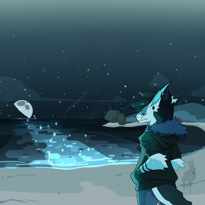 anthro beach cigarette clothed clothing fish fur hybrid male marine night_sky puccaruu seaside shark smoke solo standing