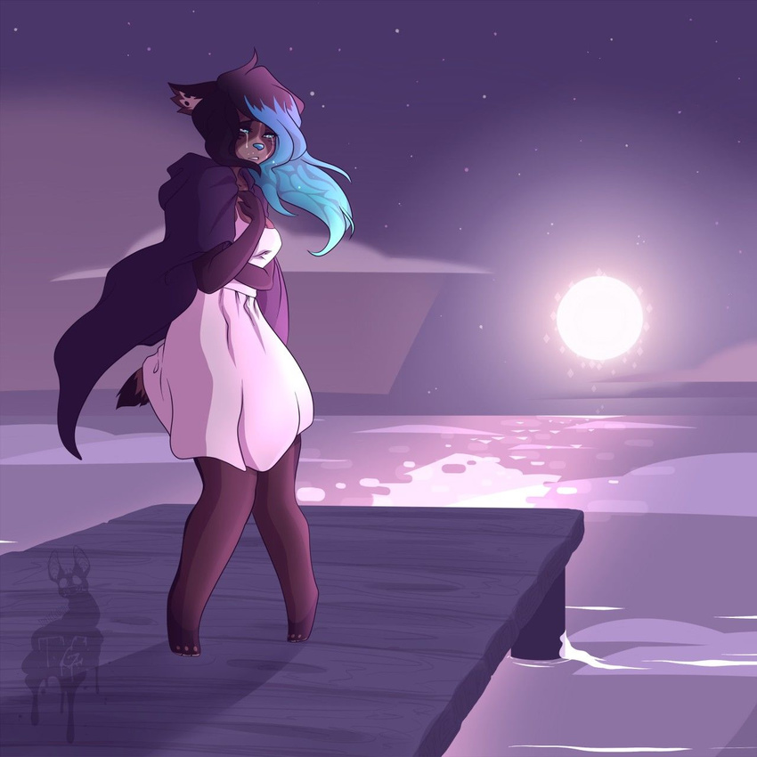 anthro clothed clothing female fur hair mammal moon night_sky outside puccaruu solo standing tears