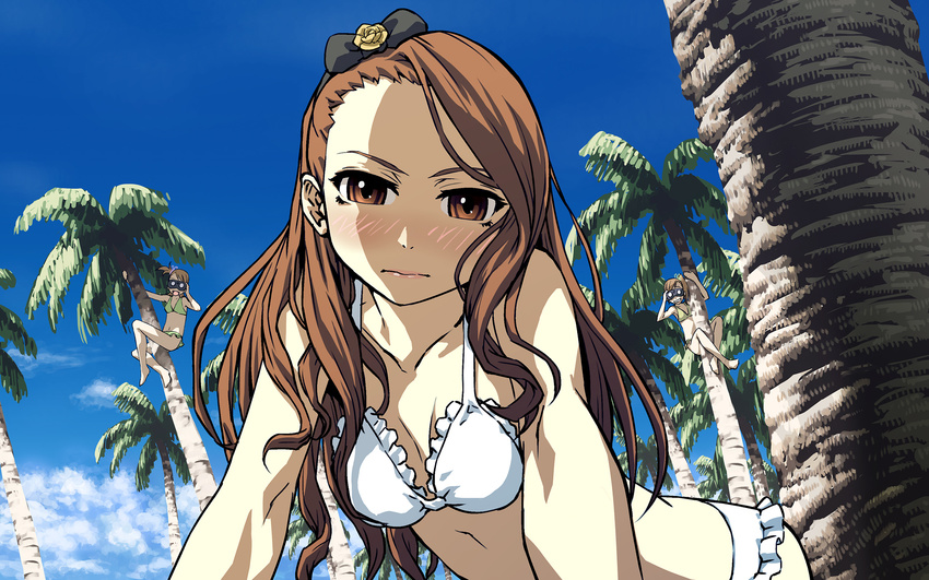 arm_support barefoot bikini bikini_skirt binoculars black_bow blue_sky blush bow breasts brown_eyes brown_hair climbing closed_mouth cloud collarbone cozy day frills futami_ami futami_mami green_bikini hair_bow hand_up hands_up highres idolmaster idolmaster_(classic) idolmaster_2 in_tree lipstick long_hair looking_at_viewer makeup minase_iori multiple_girls outdoors outstretched_arm palm_tree peeking siblings side_ponytail sisters sky small_breasts solo_focus swimsuit tree twins wallpaper white_bikini