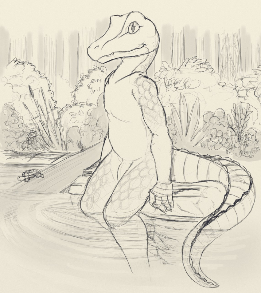 alligator anthro crocodilian feral flaccid forest greyscale line_art looking_at_viewer male monochrome nude outside partially_submerged penis petrock reptile scalie sitting sketch slim solo solo_focus tree turtle