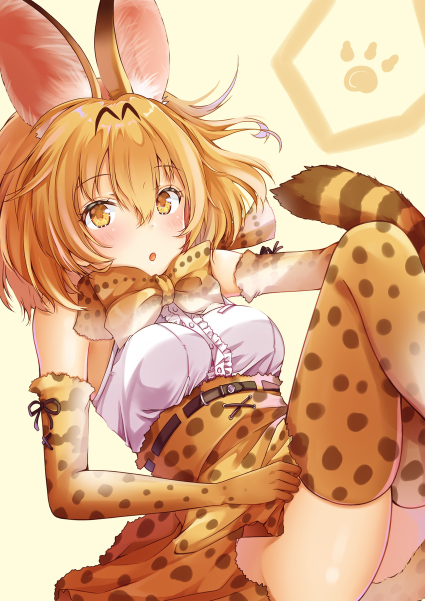 animal_ears kemono_friends serval tail thighhighs yoshida_iyo