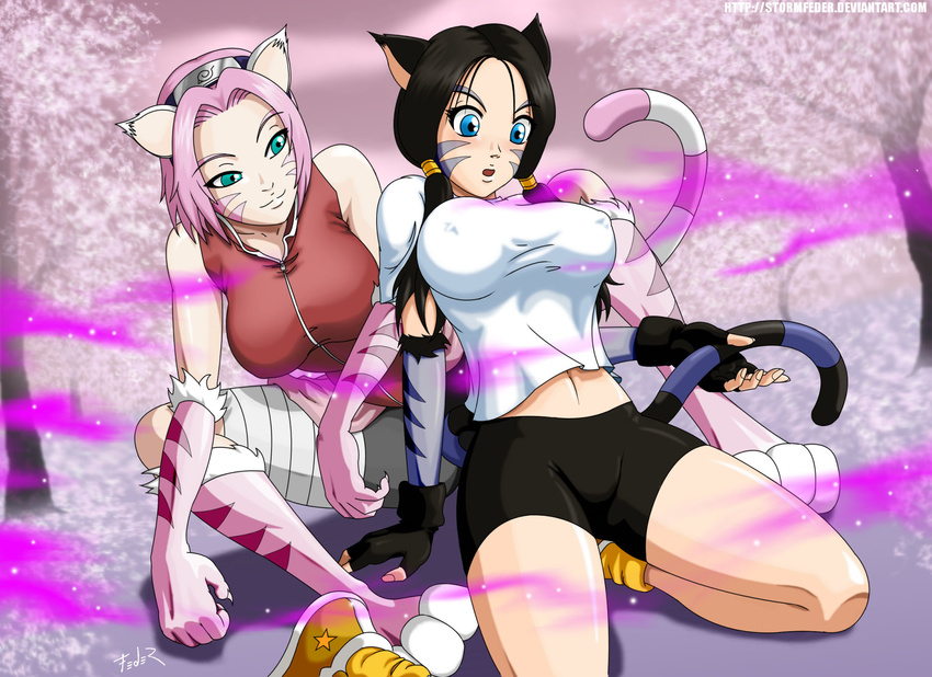 abstract_background animal_humanoid bandage bedroom_eyes black_fur black_hair blue_eyes blue_fur boots breasts cat cherry_blossom claws clothing dragon_ball dragon_ball_z duo feline female female/female fingerless_gloves footwear fur gloves hair half-closed_eyes hi_res humanoid kneeling long_tail mammal markings naruto navel nipple_bulge nipples paws pigtails pink_fur pink_hair plant sakura seductive shirt shorts smile spread_legs spreading stormfeder stripes surprise tank_top transformation videl white_fur