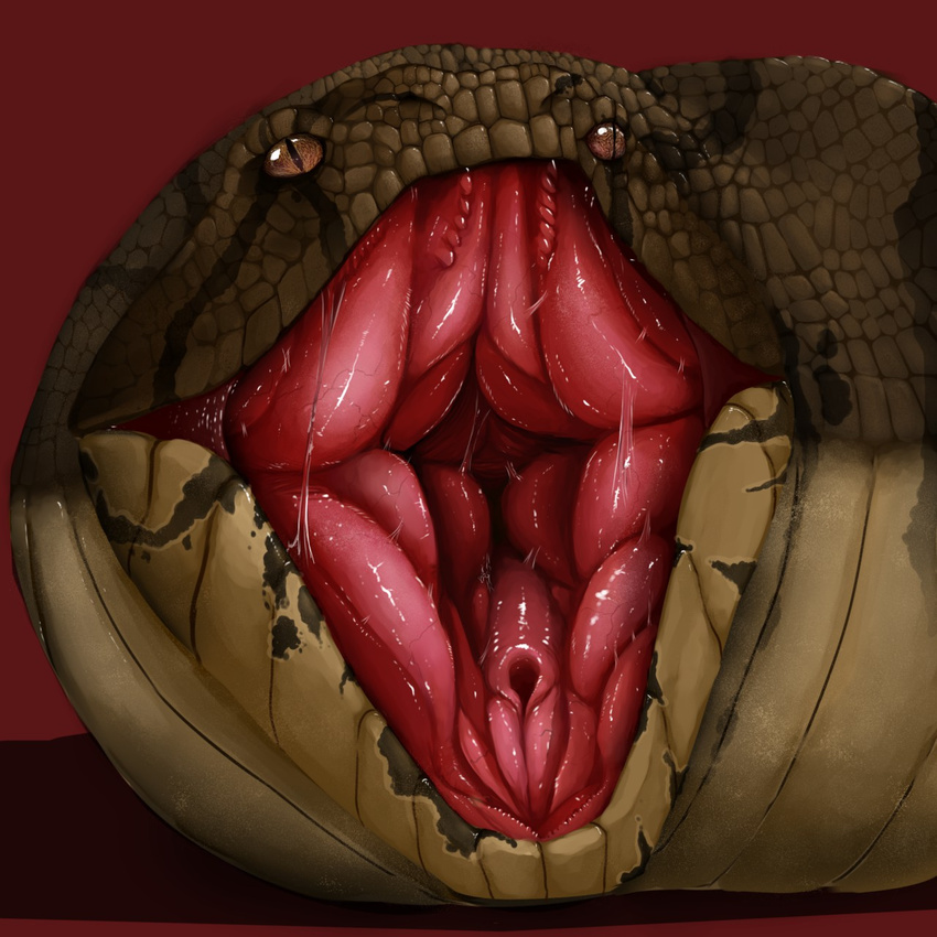 ambiguous_gender azathura feral invalid_tag looking_up mouth_shot open_mouth reptile saliva scales scalie simple_background slit_pupils snake tagme