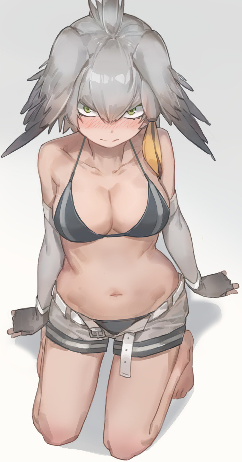 bangs barefoot belt bikini black_bikini black_gloves black_hair blush breasts cleavage collarbone elbow_gloves fingerless_gloves gloves gradient gradient_background gradient_hair green_eyes grey_hair grey_shorts hair_between_eyes head_wings highres kemono_friends kneeling looking_at_viewer low_ponytail medium_breasts multicolored_hair navel nose_blush open_clothes open_fly open_shorts orange_hair shadow shoebill_(kemono_friends) short_shorts shorts side_ponytail simple_background solo swimsuit unbuckled_belt undone_belt yohan1754