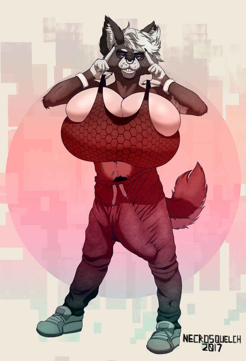 2017 abs anthro armband athletic balls big_balls big_breasts big_penis bra breasts bulge canine claws cleavage clothed clothing eyewear facial_piercing freckles glasses grin happy huge_balls huge_breasts huge_penis hyper hyper_balls hyper_breasts hyper_bulge hyper_penis intersex jewelry kayde line_art looking_at_viewer mammal midriff navel necrosquelch nose_piercing nose_ring penis piercing presenting pulling_bra rendered shaded simple_background smile sneakers solo sports_bra standing sweatpants sweats tattoo teeth underwear unnatural_color watermark yellow_eyes