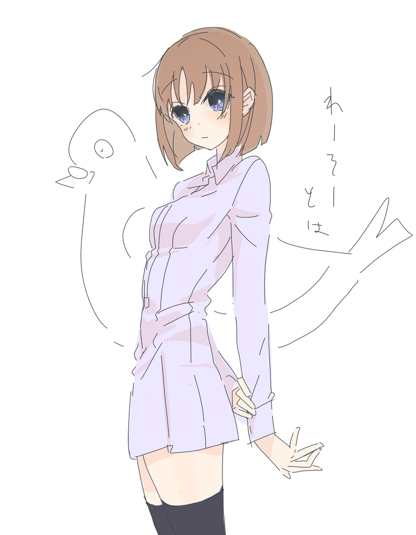 1girl bird blue_eyes blush breasts brown_hair fate/prototype fate_(series) sajou_ayaka short_hair sweater thighhighs