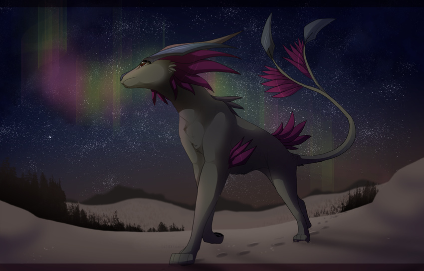 ambiguous_gender detailed_background feral fur grey_fur kitchiki night paws sky snow solo standing star starry_sky unknown_species