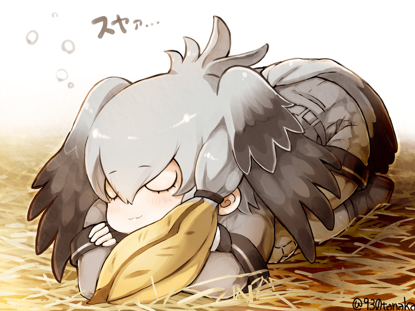 :3 closed_eyes commentary_request gradient_hair head_wings kemono_friends long_hair lying multicolored_hair on_stomach pantyhose shoebill_(kemono_friends) silver_hair sleeping solo straw_(stalk) tail tanaka_kusao translated twitter_username