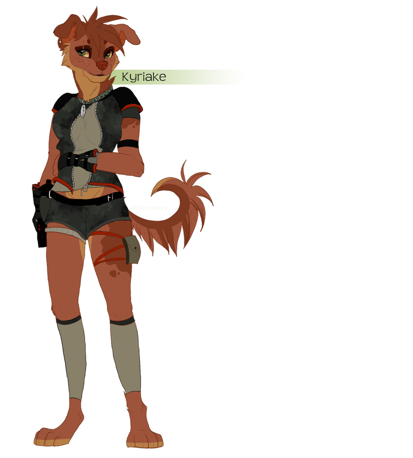 alpha_channel anthro brown_fur canine clothed clothing digitigrade dog female fur green_eyes kitchiki mammal simple_background smile solo standing transparent_background