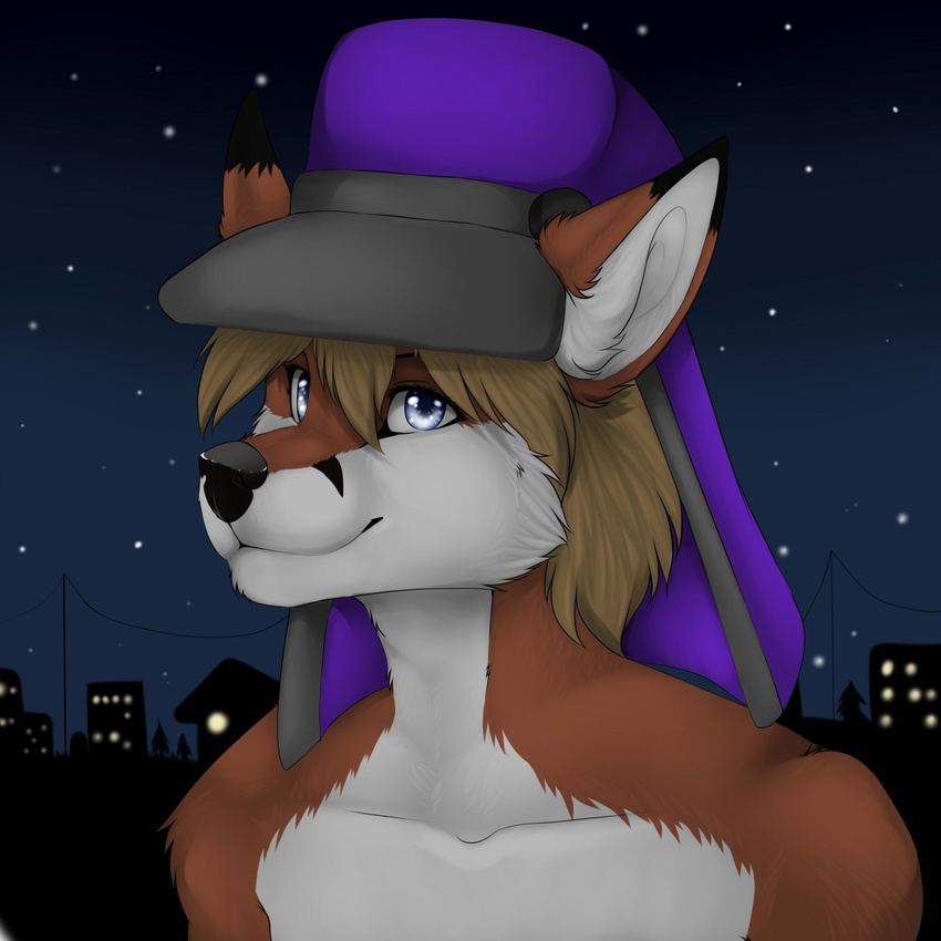 anthro canine fox fur hair hat looking_at_viewer male mammal manikanika night_sky smile solo