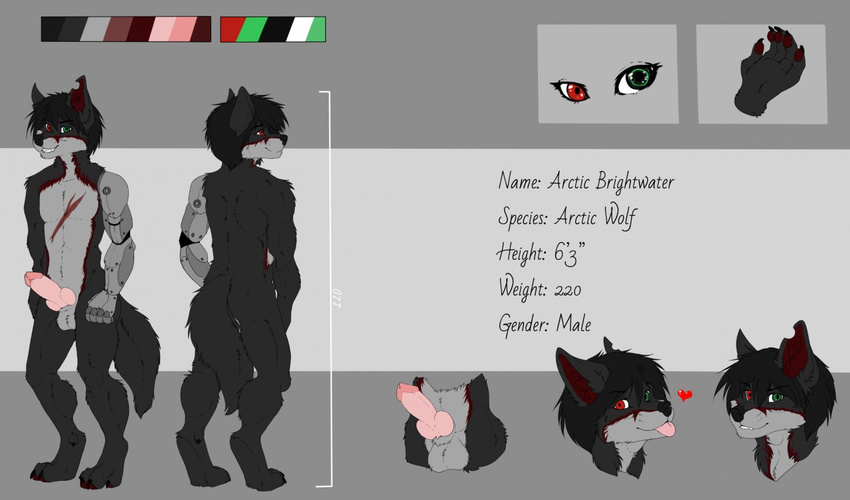 &lt;3 anthro balls bionic_arm canine erection knot looking_at_viewer male mammal manikanika model_sheet scar solo