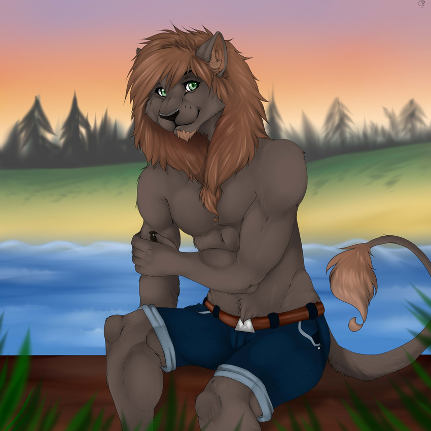 anthro beard clothed clothing facial_hair feline fur hair lion looking_at_viewer male mammal manikanika outside sitting smile solo topless