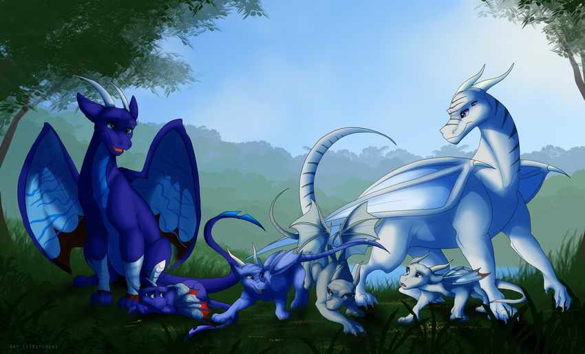 day detailed_background dragon female feral grass group horn kitchiki male membranous_wings sitting sky smile standing sun wings
