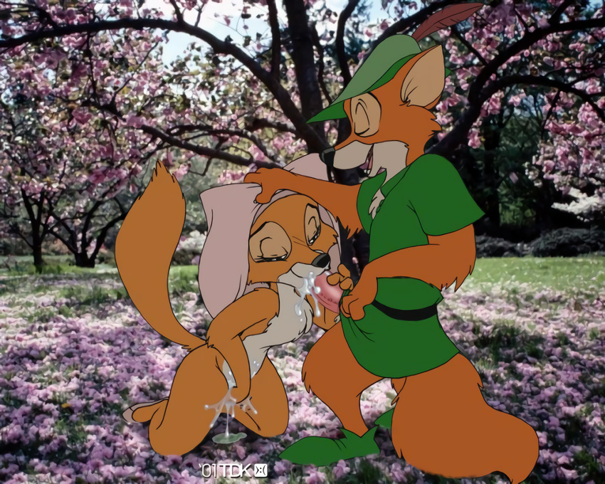 disney fellatio maid_marian oral pussy_juice robin_hood robin_hood_(disney) sex tagme tdk upscaled