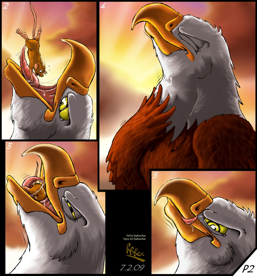 2009 ambiguous_gender avian beak bird claws comic duo eagle falling fear feathered_wings feathers feral hi_res mammal mouse oral_vore riproarrex rodent saliva skyra_(rrrex) swallowing throat vore wings