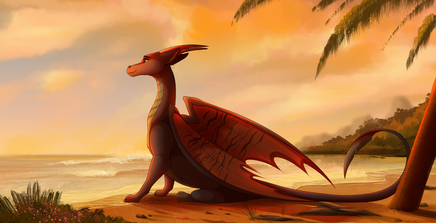 ambiguous_gender beach day detailed_background dragon feral horn kitchiki membranous_wings seaside sitting sky smile solo water wings