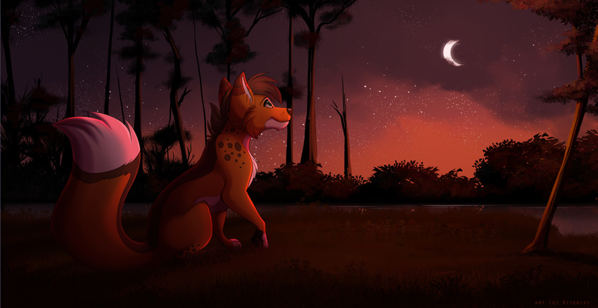ambiguous_gender black_nose brown_hair canine detailed_background feral fluffy fluffy_tail fox fur grass hair kitchiki mammal moon night orange_fur paws sitting sky smile solo star starry_sky
