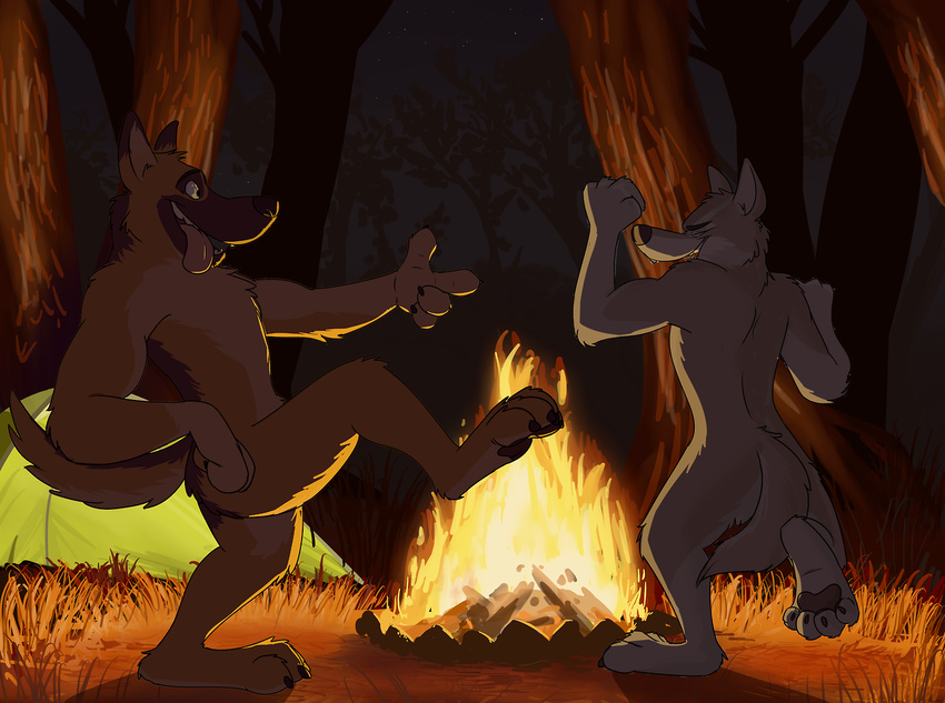 bonfire brown_fur canine dancing fur male mammal nude paintfox white_fur