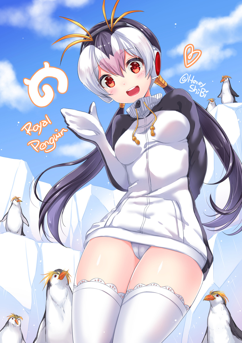 animal bird black_hair blush breasts character_name cloud day headphones highres ice_block jacket japari_symbol kemono_friends long_hair looking_at_viewer multicolored_hair open_mouth penguin red_eyes royal_penguin royal_penguin_(kemono_friends) shibi signature sky small_breasts smile thighhighs turtleneck twintails twitter_username white_hair white_legwear