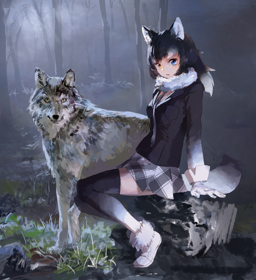 :o animal animal_ears black_hair black_jacket blazer blue_eyes breast_pocket commentary eyebrows_visible_through_hair eyelashes fog forest from_side fur_collar gloves gradient_hair gradient_legwear grass grey_wolf_(kemono_friends) heterochromia highres jacket kemono_friends long_hair long_sleeves multicolored_hair nature open_mouth outdoors plaid plaid_skirt pocket rock shoes sitting sitting_on_rock skirt sneakers tail thighhighs treeware tsurime two-tone_hair white_footwear white_gloves white_hair wolf wolf_ears wolf_tail yellow_eyes zettai_ryouiki