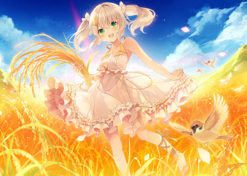 ankle_lace-up ankle_ribbon anklet baimi_(dong-jin_rice-hime) barefoot bird blue_sky cloud cross-laced_footwear day dong-jin_rice-hime dress dutch_angle feet_out_of_frame field frilled_dress frills green_eyes highres jewelry jpeg_artifacts looking_at_viewer open_mouth outdoors personification ribbon rice shinia skirt_hold sky solo standing standing_on_one_leg suiji twintails wallpaper white_dress