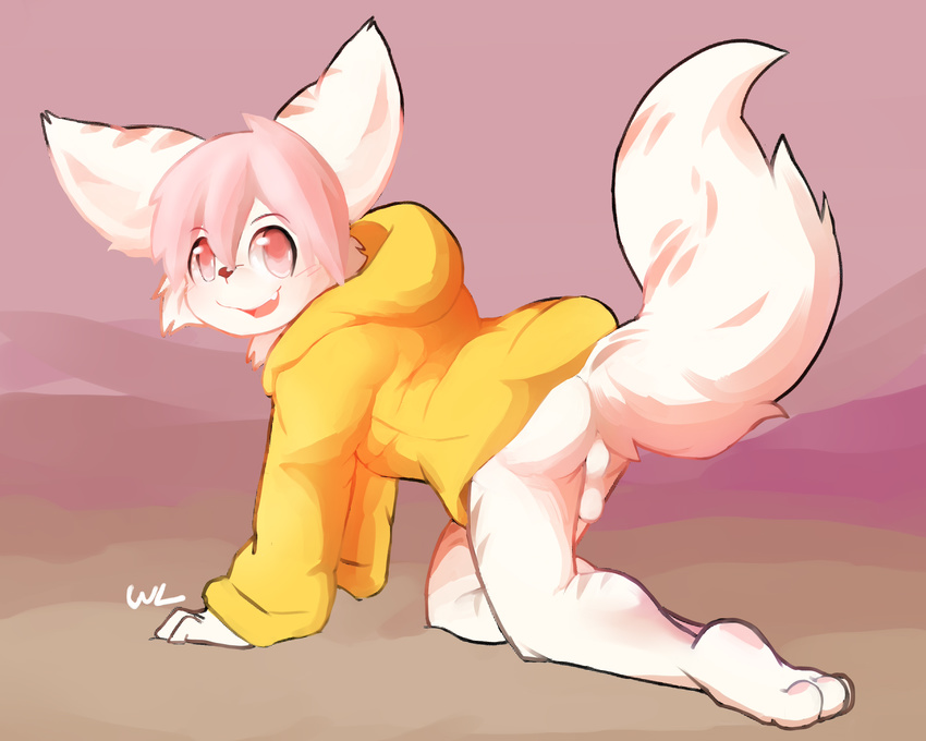 all_fours anthro backsack balls barefoot bottomless canine clothed clothing fennec fox hair hoodie looking_at_viewer male mammal perineum pink_hair raised_tail smile solo whiteleo young