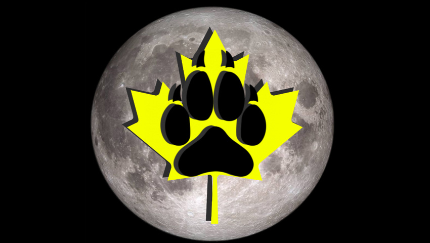 2017 black_background black_paw canada canine claws mammal maple_leaf moon shadow simple_background thegoldenwolf wolf wolf_paw yellow_leaf