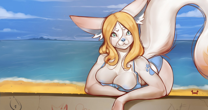 beach blue_eyes blue_nose breasts canine clothing detailed_background female fennec fluffy fluffy_tail fox looking_at_viewer mammal ozi-rz seaside solo swimsuit