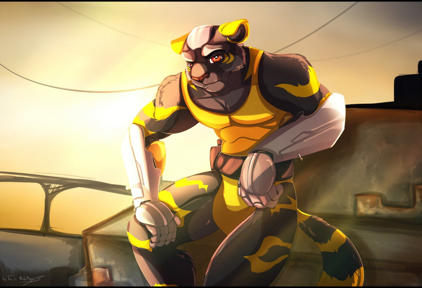 anthro black_fur cybernetics cyborg day detailed_background feline fur machine male mammal outside red_eyes smile solo tai_lung_(artist) tiger whiskers
