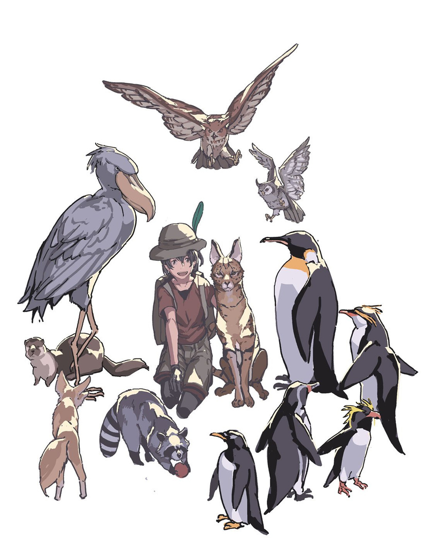 animal animalization backpack bag ball beaver bird cat commentary_request common_raccoon_(kemono_friends) emperor_penguin emperor_penguin_(kemono_friends) eurasian_eagle_owl eurasian_eagle_owl_(kemono_friends) fennec_(kemono_friends) fennec_fox fox gentoo_penguin gentoo_penguin_(kemono_friends) gloves hat highres hirasawa_geko humboldt_penguin humboldt_penguin_(kemono_friends) kaban_(kemono_friends) kemono_friends northern_white-faced_owl northern_white-faced_owl_(kemono_friends) otter owl pantyhose penguin raccoon rockhopper_penguin rockhopper_penguin_(kemono_friends) royal_penguin royal_penguin_(kemono_friends) serval serval_(kemono_friends) shoebill shoebill_(kemono_friends) small-clawed_otter_(kemono_friends) smile