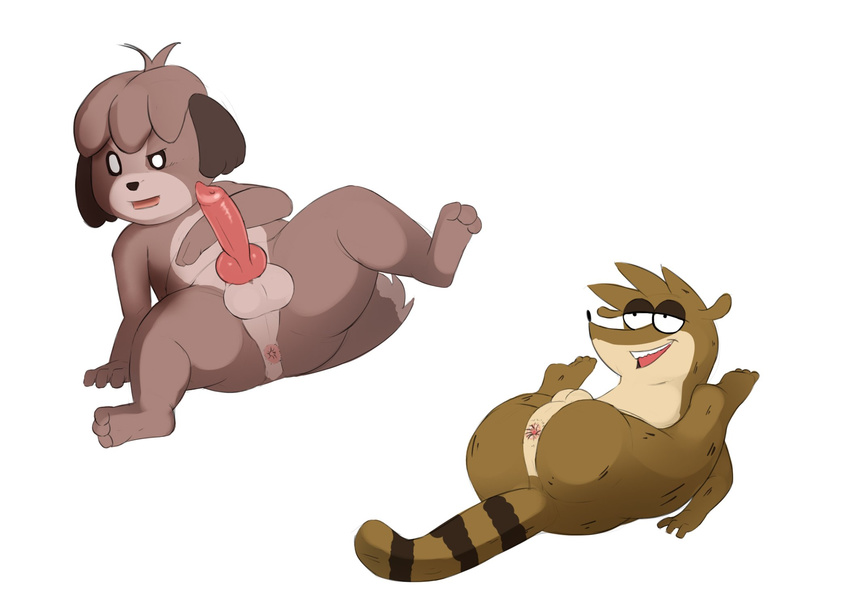 animal_crossing animal_genitalia animal_penis anthro anthrofied anus balls canine canine_penis cartoon_network digby_(animal_crossing) dog erection flexible front_view fur half-closed_eyes knot legs_up lying male mammal multiple_images nintendo nude on_back open_mouth penis raccoon reclining regular_show rigby_(regular_show) seyrmo sheath smile spread_legs spreading unsure video_games