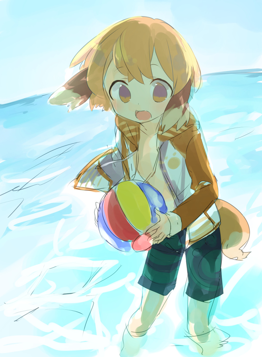 :d animal_ears backlighting ball bare_chest beach beachball blue_sky caustics commentary day dog_ears dog_tail dogboy drawstring highres holding holding_beachball hood hood_down hooded_jacket horizon jacket kyuuri_(miyako) long_sleeves looking_at_viewer male_swimwear no_shirt ocean open_clothes open_jacket open_mouth orange_eyes orange_hair orange_jacket outdoors petite pigeon-toed pop-up_story sketch sky smile swim_trunks swimwear tail wading wind wind_lift yuuri_lessen
