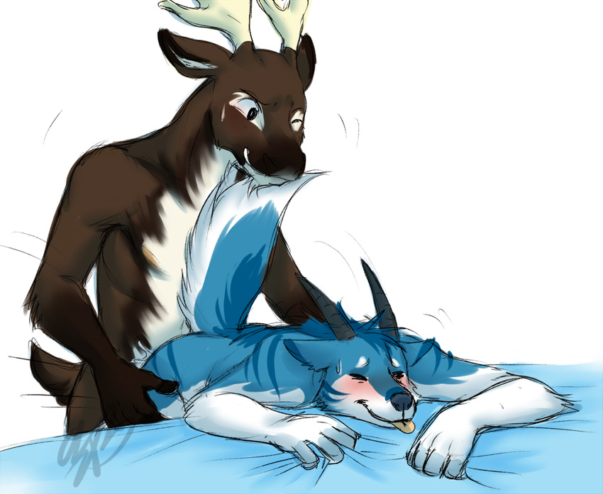 anal anthro antlers bed blush buck_(icehawk) canine cartoonlion cervine happy happy_sex horn hybrid icehawk lyle_(icehawk) male male/male mammal penetration sex tongue wolf