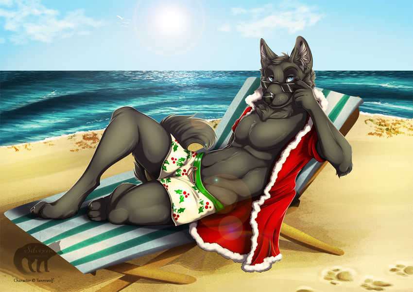 2016 anthro beach black_claws black_fur black_nose black_tail blue_eyes blue_sky canine christmas claws clothed clothing cloud coat digital_media_(artwork) eyebrows eyewear fluffy fluffy_tail full-length_portrait fur holidays inner_ear_fluff lens_flare looking_at_viewer male mammal outside portrait reclining red_clothing red_coat red_topwear relaxing sand sea seaside silvixen sky smile solo summer sun sunglasses swimming_trunks swimsuit tanro toe_claws toes water watermark white_bottomwear white_clothing white_swimsuit wolf
