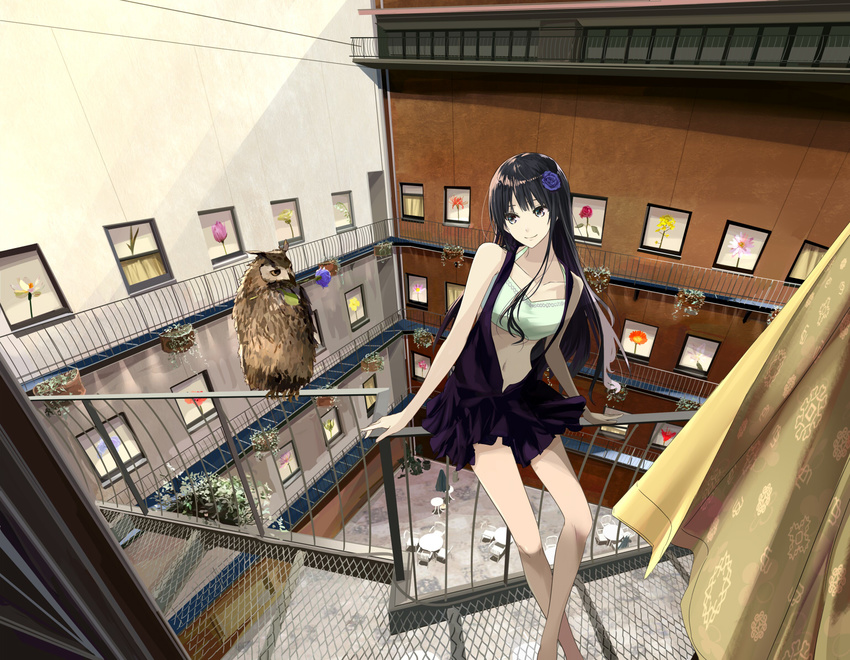 balcony bird black_eyes black_hair chef_no_kimagure_salad commentary curtains dress long_hair navel original owl smile solo surreal window