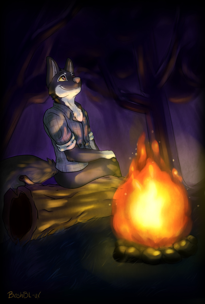 alby bashbl-ux canine clothed clothing coyote fire forest looking_up mammal nature night sitting smile tree